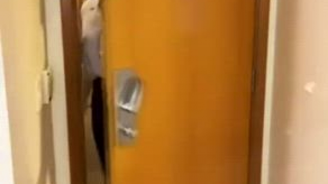 Looking for my new office dude