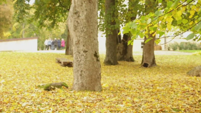 Flashing Cunt At The Beach