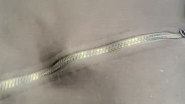 Flashing my huge tits is so much pleasant