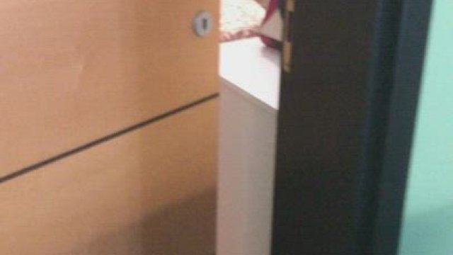 Look what I got home to! Too hot or too crazy?