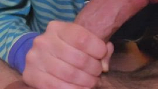 I like sucking big cocks