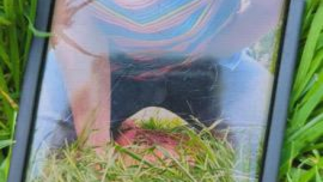 In summer, I like to play in the park