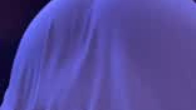 Would you bang a blasian?