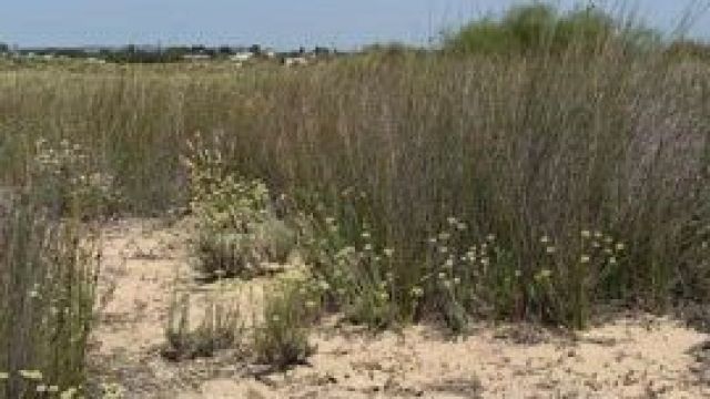 Waiting for someone to grab me and screw me from behind