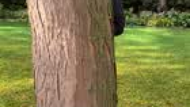 I know how to take a huge load