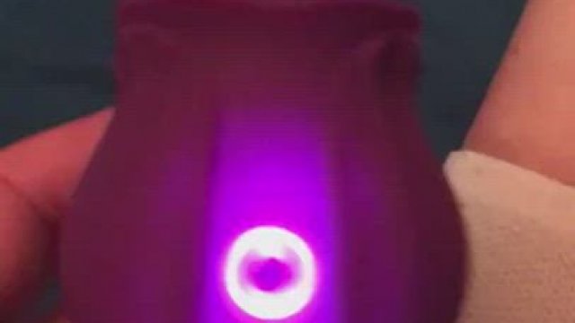 Screw My Little Octopus.