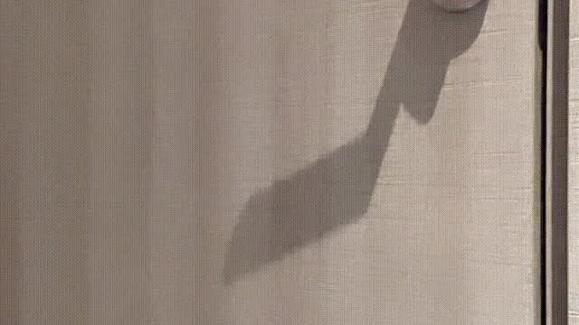 I want to have fun with you