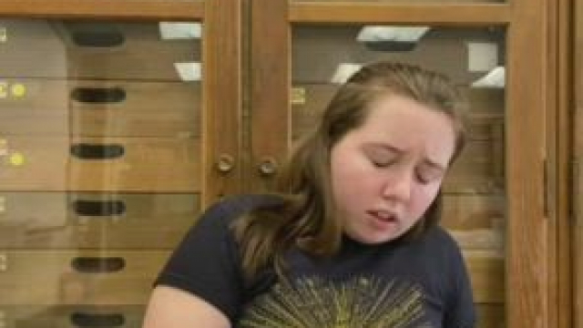 Hot little horny in lab while profesor was right next doors