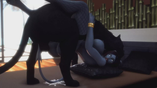 Black cat takes care of chubby elf (3d freak)