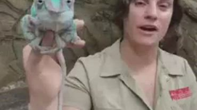 Nasty Little Slut (OC)