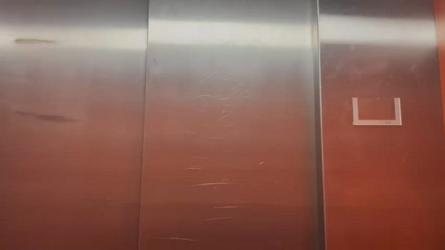 Having some pleasant in the elevator