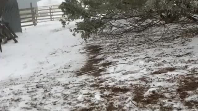 Sucking penis out in the cold [GIF]