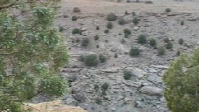 Road trips are pleasant [GIF]