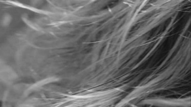 Kiss and Oral under the mistletoe? Dominant Stud in NYC area for Her pleasure